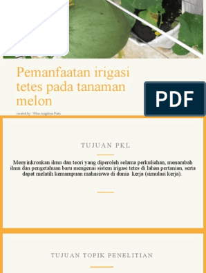 Detail Gambar Simulasi Lahan Melon Nomer 46