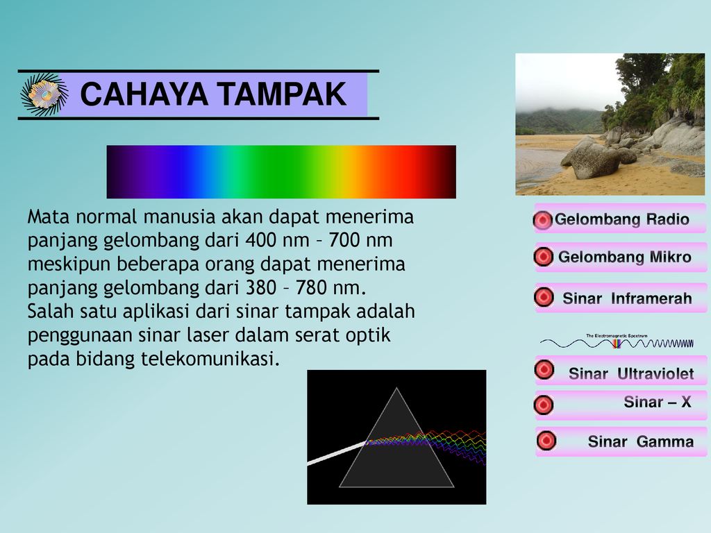 Detail Gambar Sinar Tampak Nomer 14