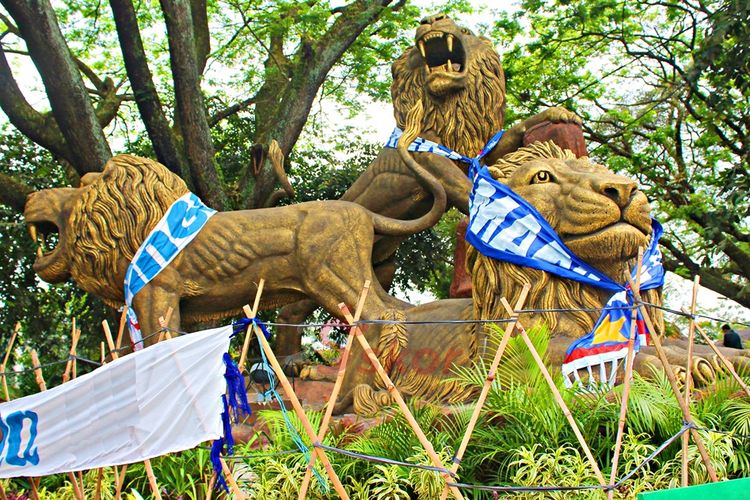 Detail Gambar Singa Arema Nomer 9