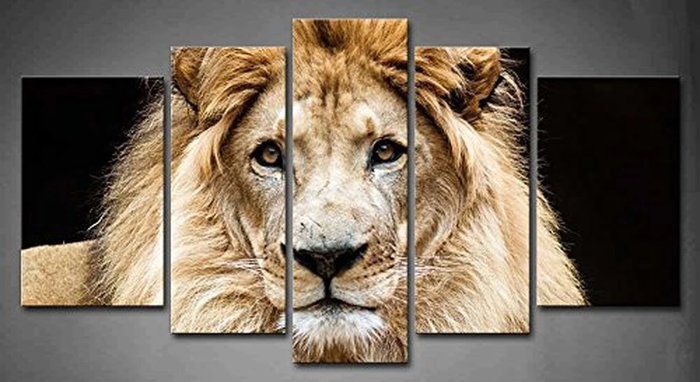 Detail Gambar Singa Duduk Nomer 48