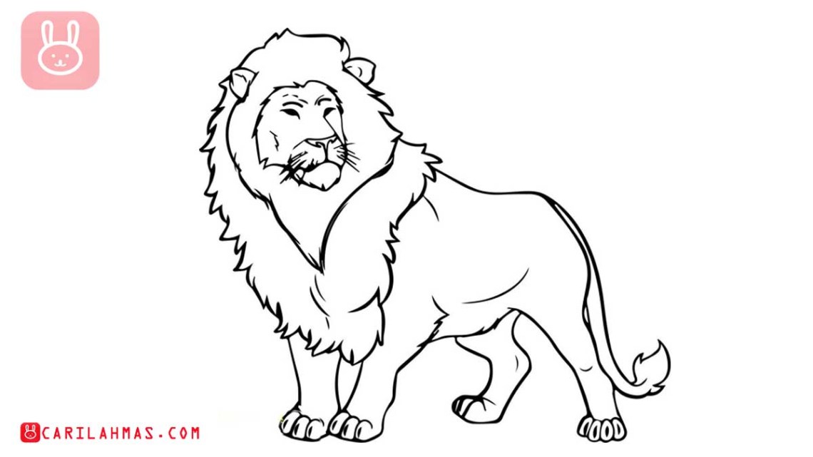 Detail Gambar Singa Untuk Mewarnai Nomer 14
