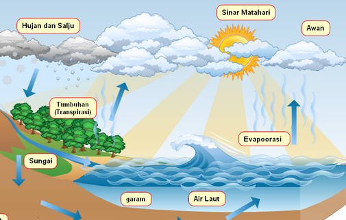 Detail Gambar Sirkulasi Air Nomer 3