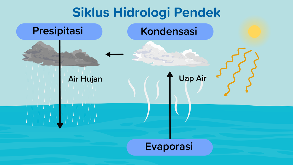 Detail Gambar Sirkulasi Air Nomer 21