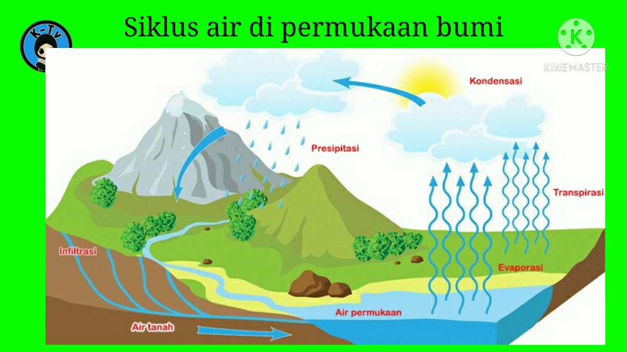 Detail Gambar Sirkulasi Air Nomer 5