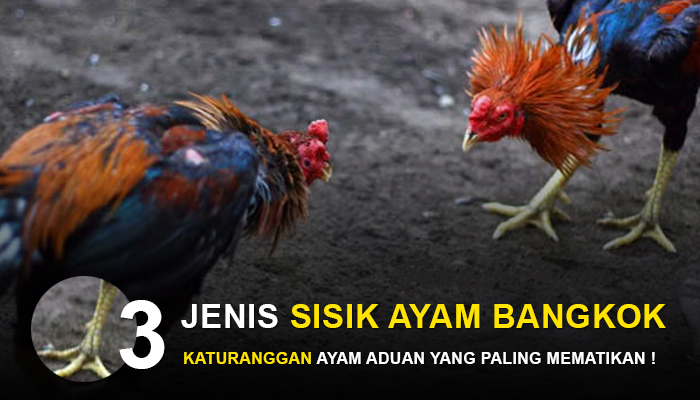 Detail Gambar Sisik Ayam Mematikan Nomer 49