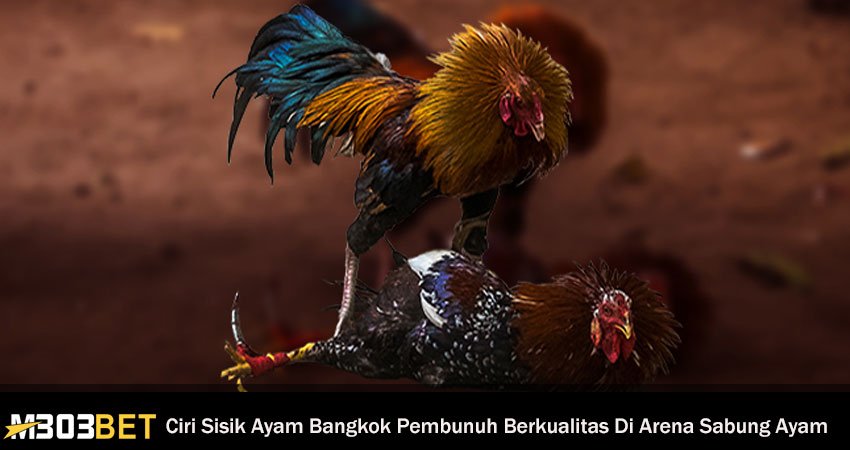 Detail Gambar Sisik Ayam Pembunuh Nomer 25