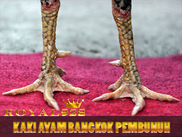 Detail Gambar Sisik Ayam Pembunuh Nomer 4