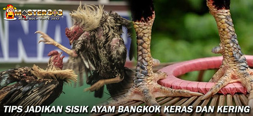 Detail Gambar Sisik Ayam Pembunuh Nomer 39