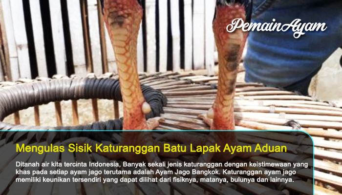 Detail Gambar Sisik Ayam Pembunuh Nomer 56