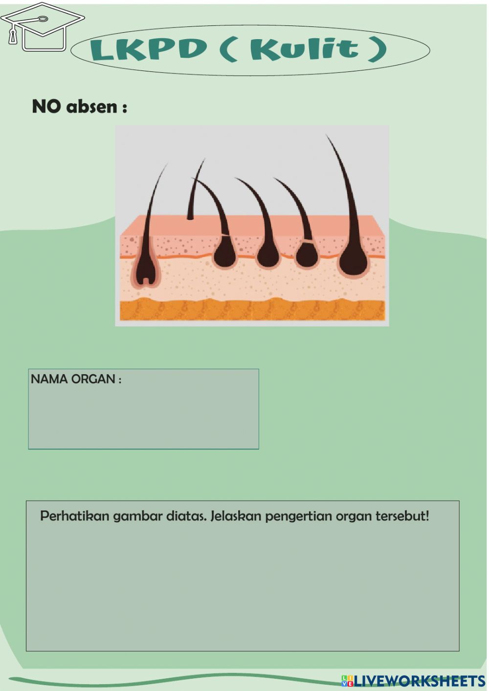 Detail Gambar Sistem Ekskresi Kulit Nomer 44