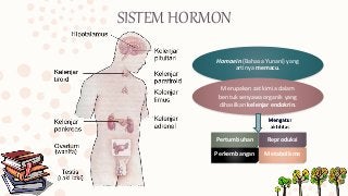 Detail Gambar Sistem Hormon Nomer 39