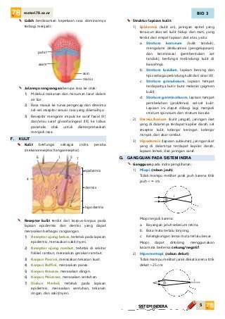 Detail Gambar Sistem Indra Nomer 30