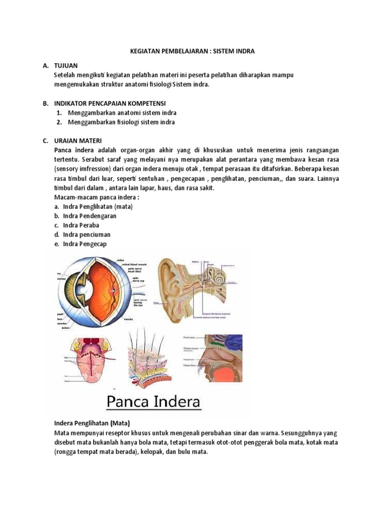 Detail Gambar Sistem Indra Nomer 31