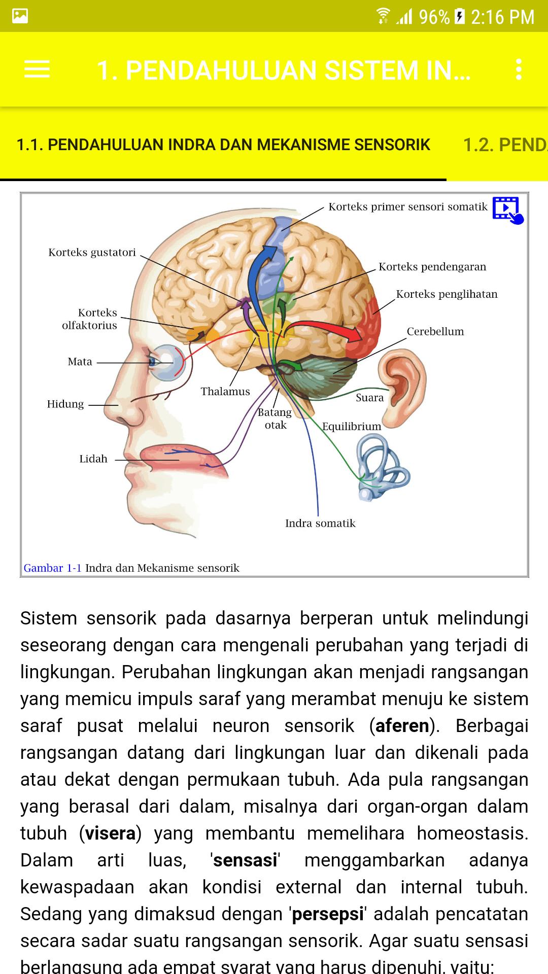 Detail Gambar Sistem Indra Nomer 40