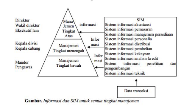 Detail Gambar Sistem Informasi Dalam Organisasi Nomer 6