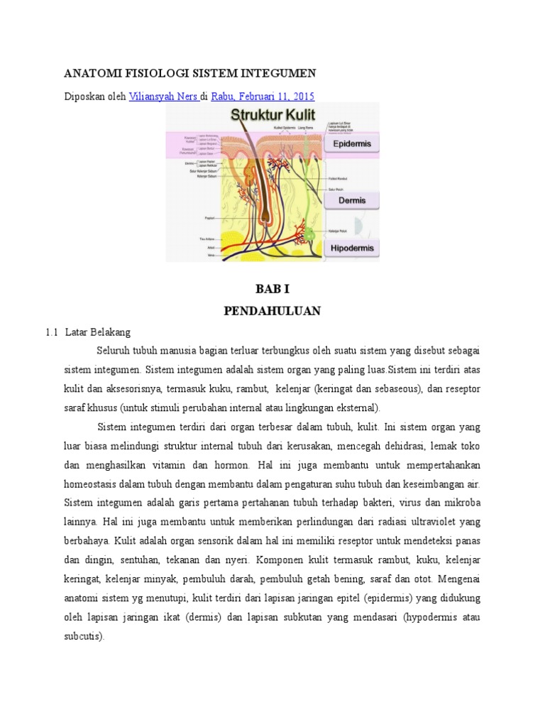 Detail Gambar Sistem Integumen Nomer 31