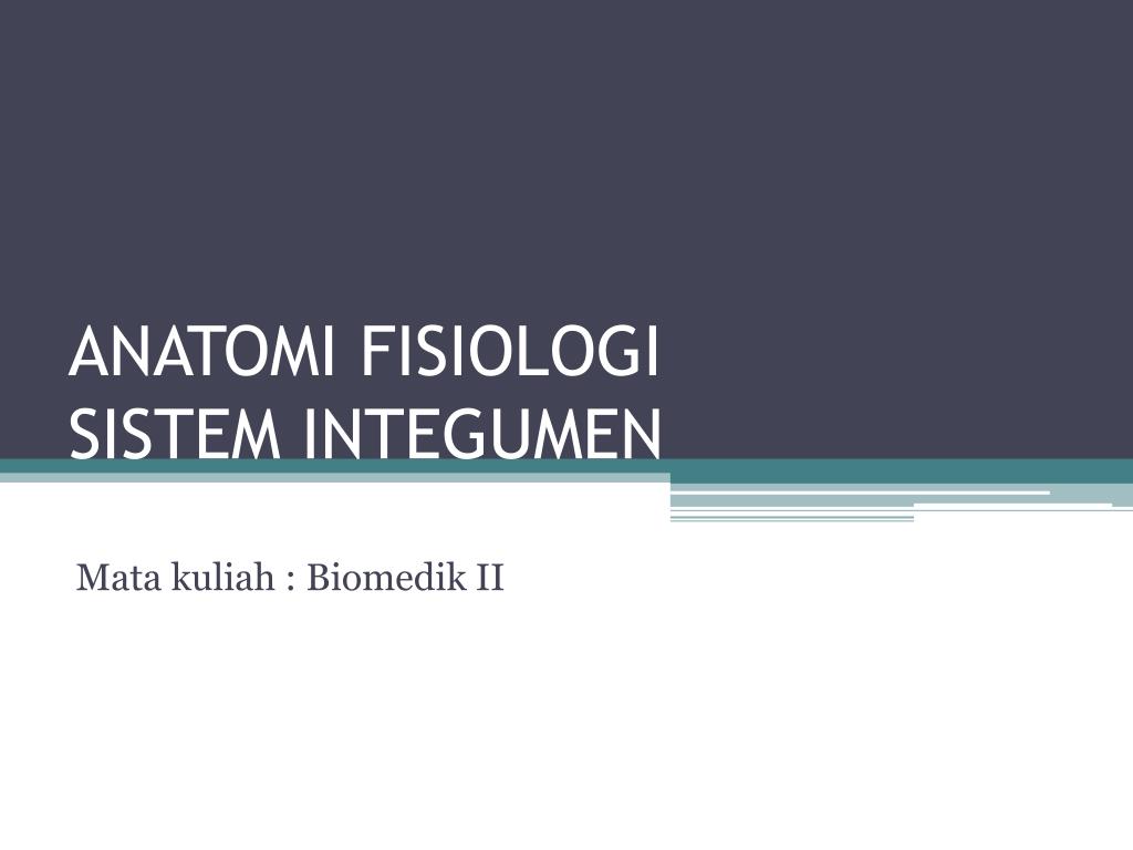 Detail Gambar Sistem Integumen Nomer 35