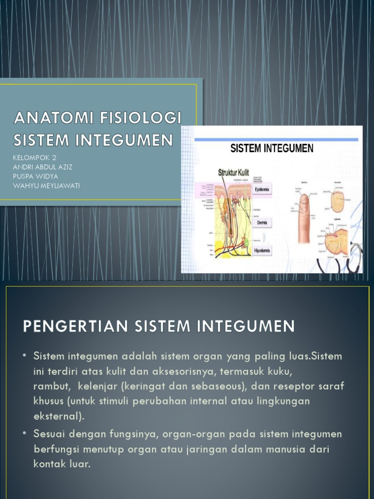 Detail Gambar Sistem Integumen Nomer 39