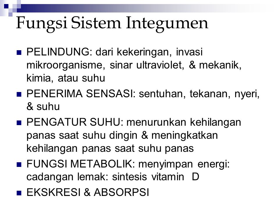 Detail Gambar Sistem Integumen Nomer 41