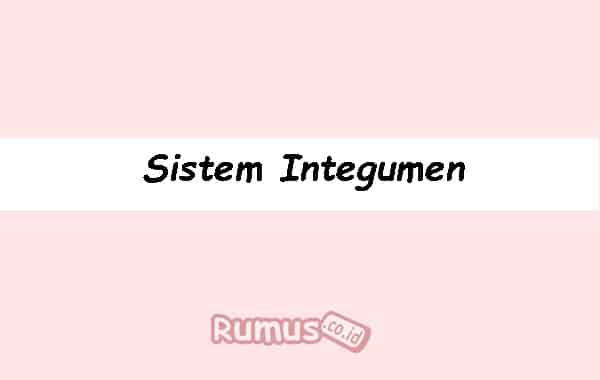 Detail Gambar Sistem Integumen Nomer 43