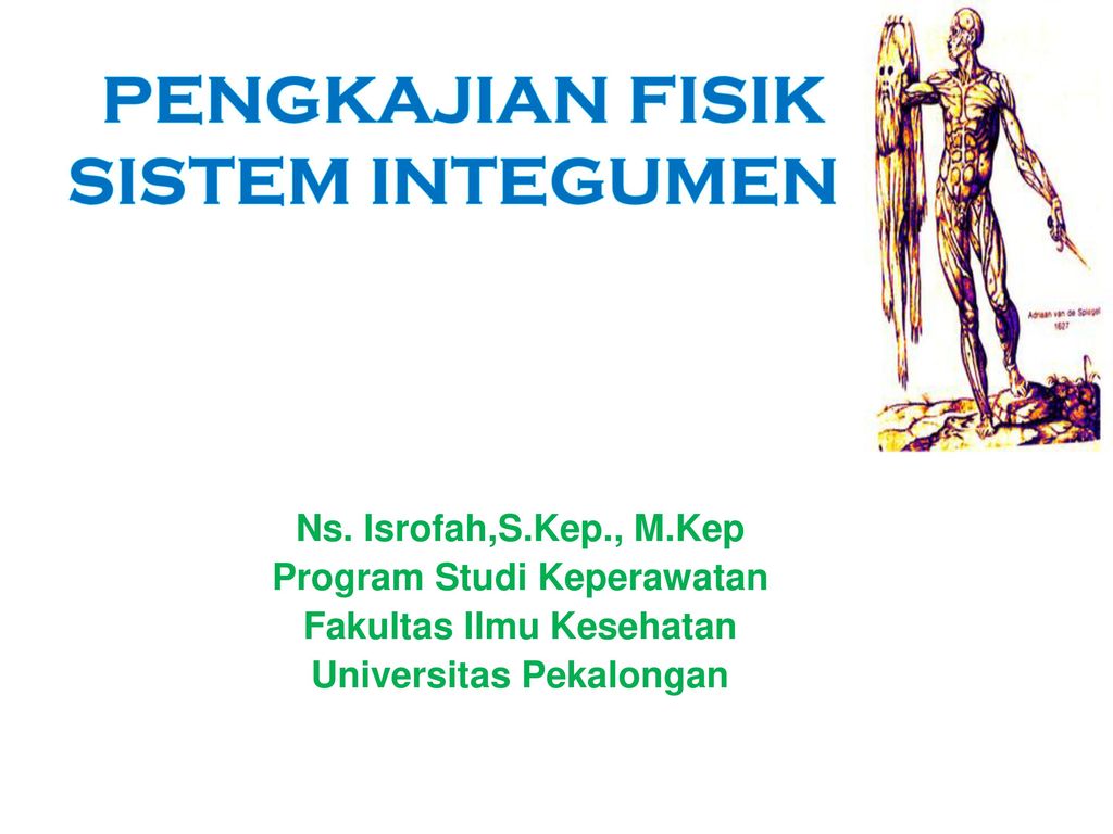 Detail Gambar Sistem Integumen Nomer 45