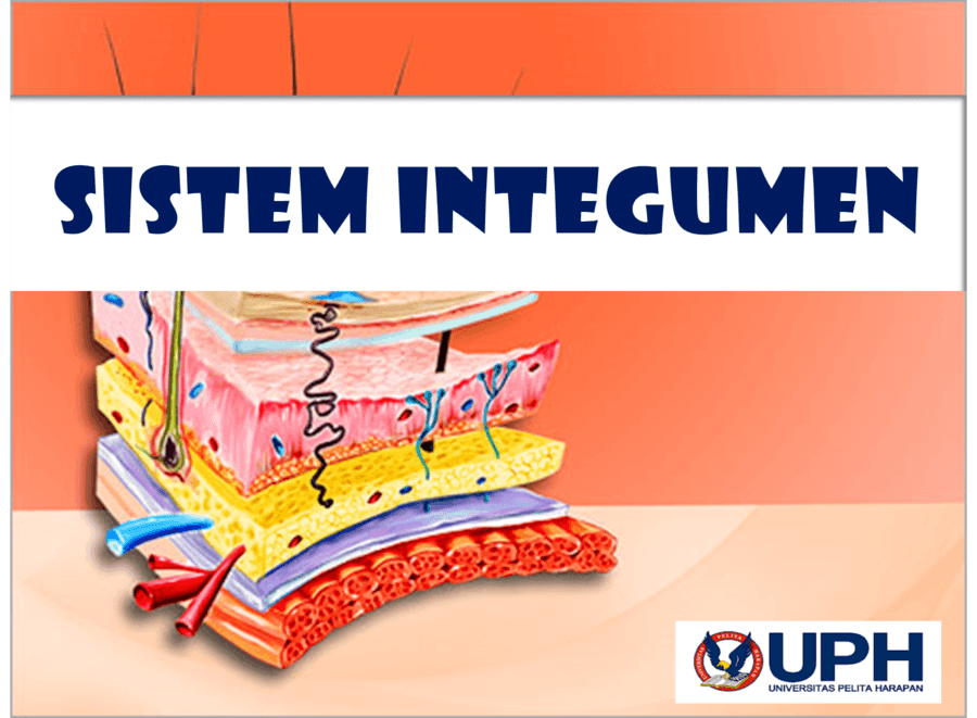 Detail Gambar Sistem Integumen Nomer 46
