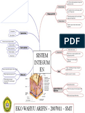 Detail Gambar Sistem Integumen Nomer 48