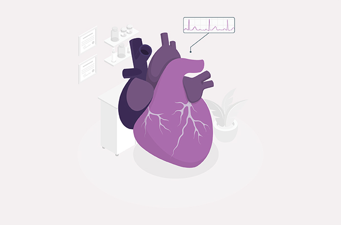 Detail Gambar Sistem Kardiovaskuler Nomer 17