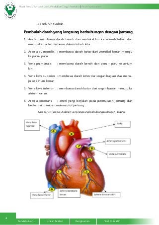 Detail Gambar Sistem Kardiovaskuler Nomer 44