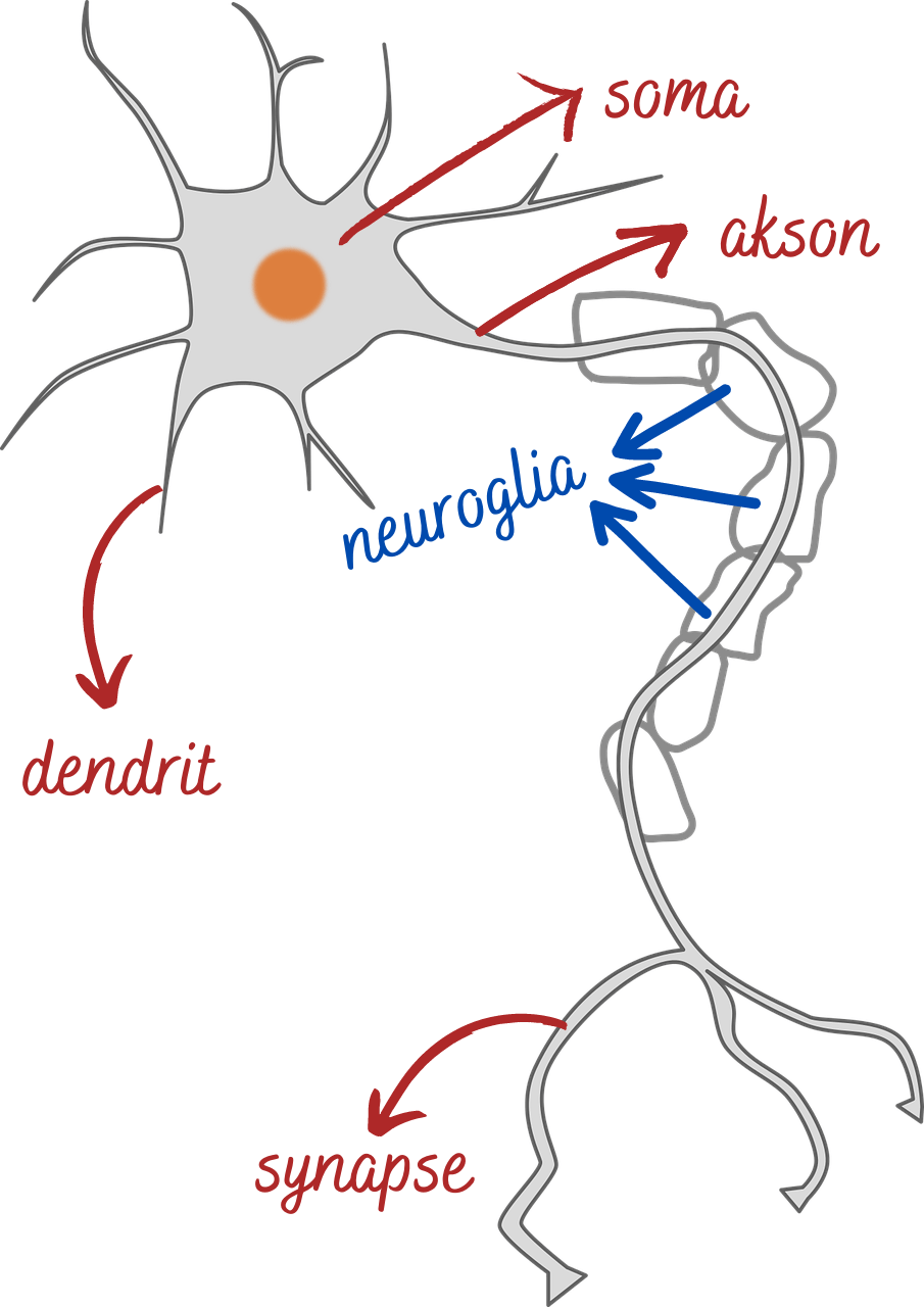 Detail Gambar Sistem Koordinasi Nomer 3