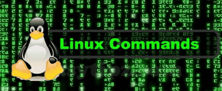 Detail Gambar Sistem Operasi Linux Nomer 32