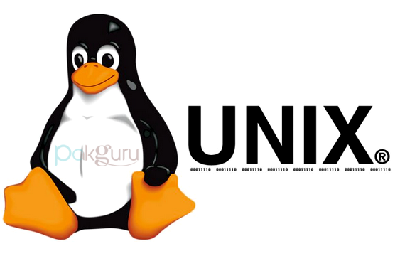 Detail Gambar Sistem Operasi Unix Nomer 3