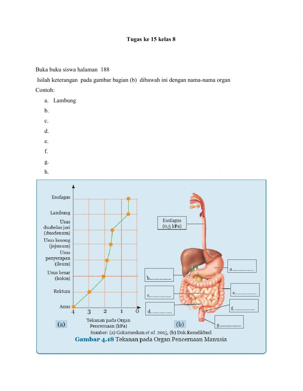 Detail Gambar Sistem Organ Pencernaan Nomer 56