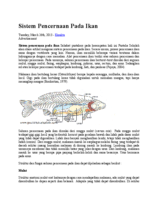 Detail Gambar Sistem Pencernaan Ikan Nomer 43