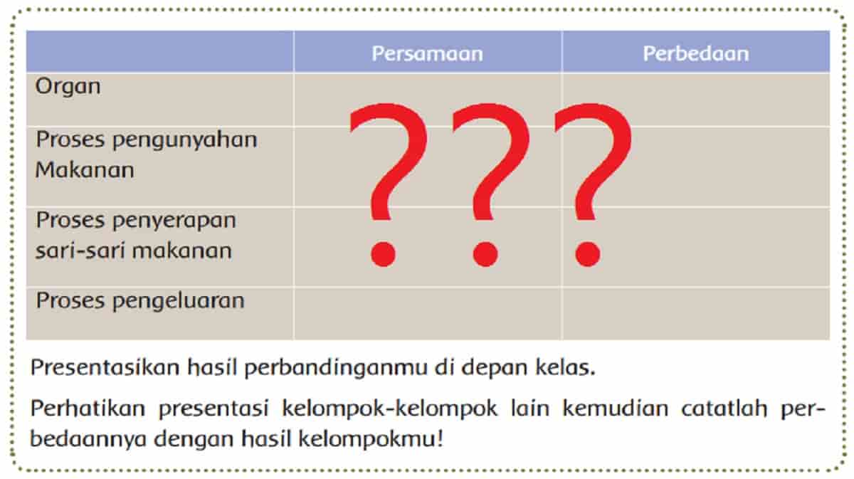 Detail Gambar Sistem Pencernaan Pada Sapi Nomer 41