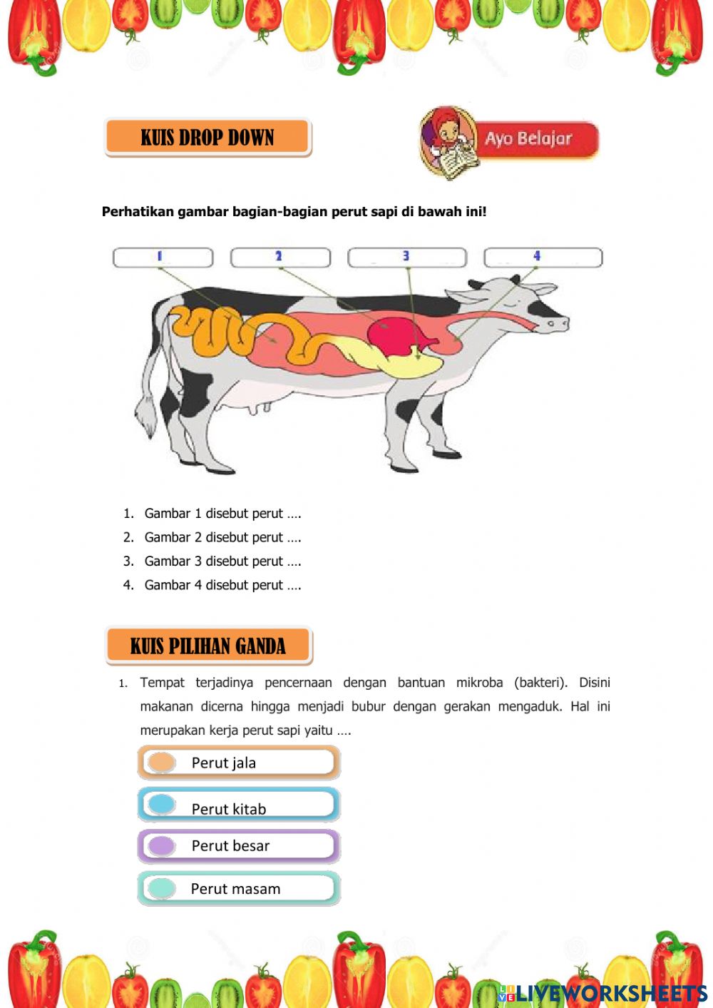 Detail Gambar Sistem Pencernaan Pada Sapi Nomer 47