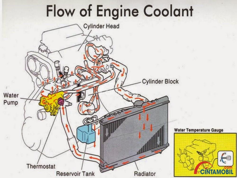 Detail Gambar Sistem Pendingin Pada Mobil Nomer 12