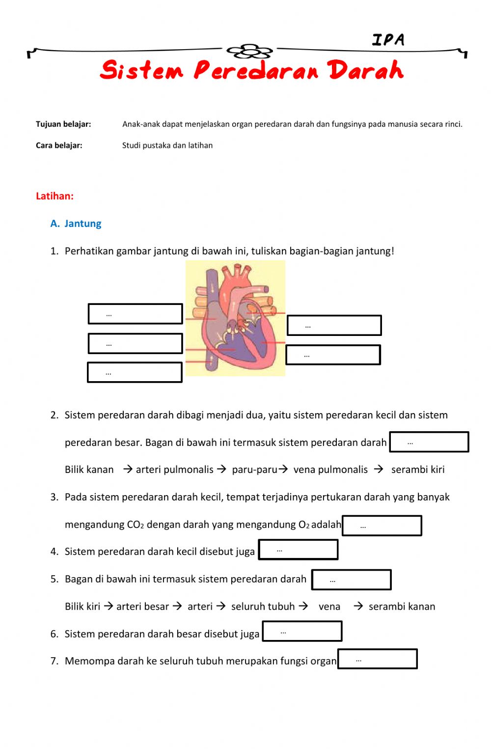 Detail Gambar Sistem Peredaran Darah Kecil Nomer 45