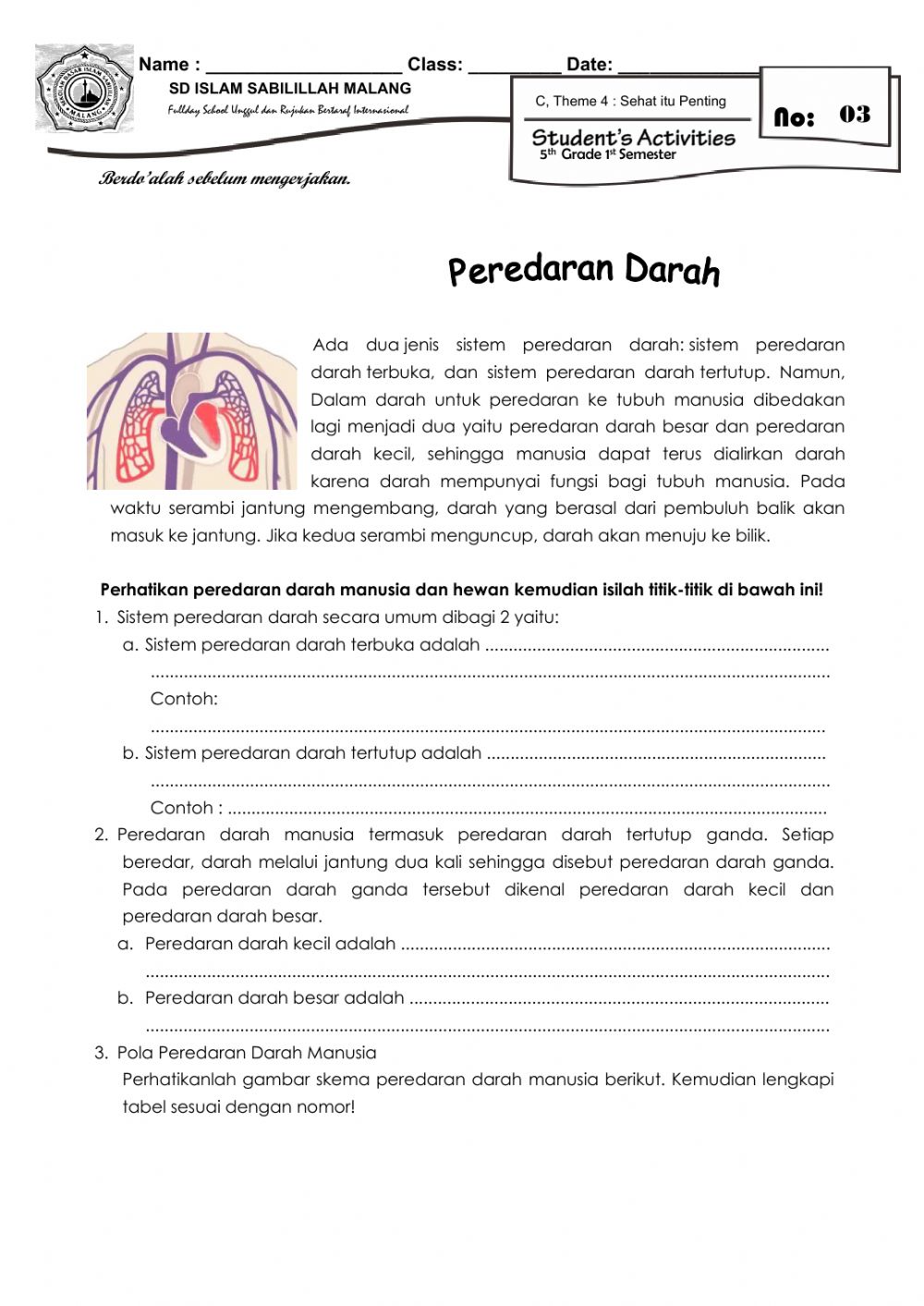 Detail Gambar Sistem Peredaran Darah Kecil Dan Besar Nomer 41