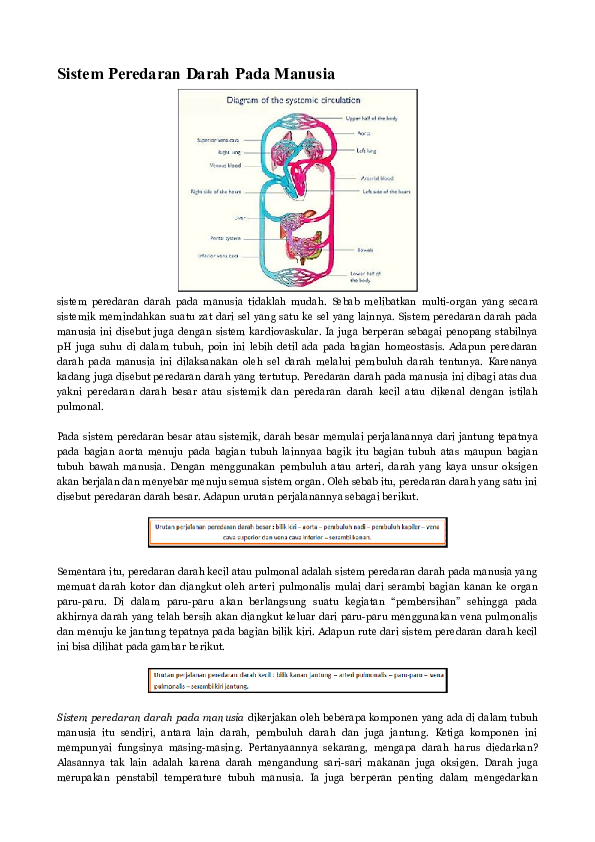 Detail Gambar Sistem Peredaran Darah Kecil Dan Besar Nomer 45