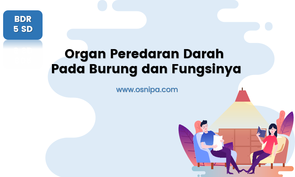 Detail Gambar Sistem Peredaran Darah Pada Burung Nomer 47