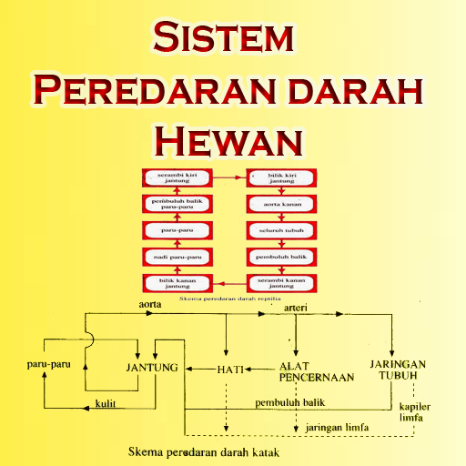 Detail Gambar Sistem Peredaran Darah Pada Hewan Nomer 29