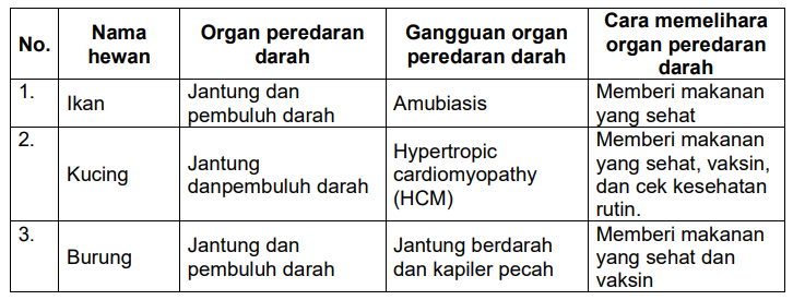 Detail Gambar Sistem Peredaran Darah Pada Hewan Nomer 41