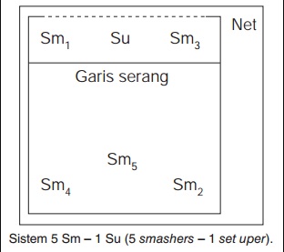 Detail Gambar Sistem Permainan Bola Voli Nomer 56