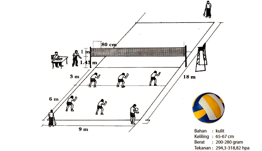 Detail Gambar Sistem Permainan Bola Voli Nomer 8