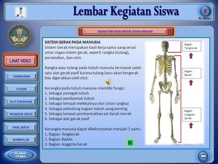 Detail Gambar Sistem Rangka Gambar System Otot Nomer 51