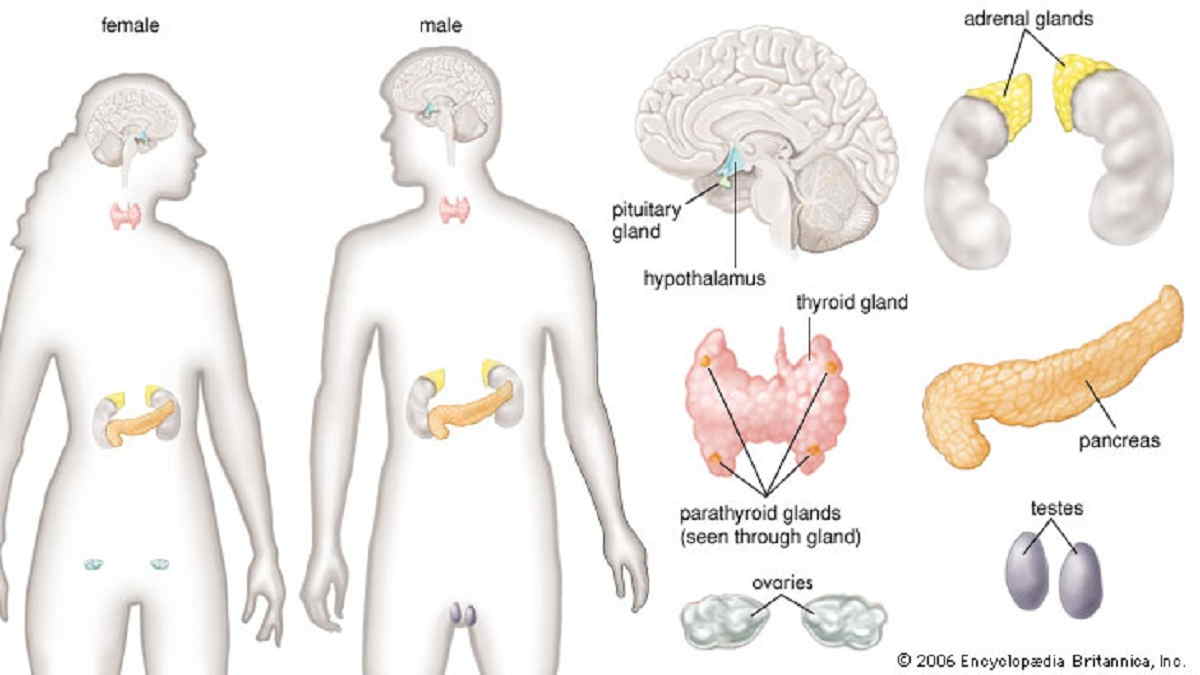 Gambar Sistem Regulasi - KibrisPDR