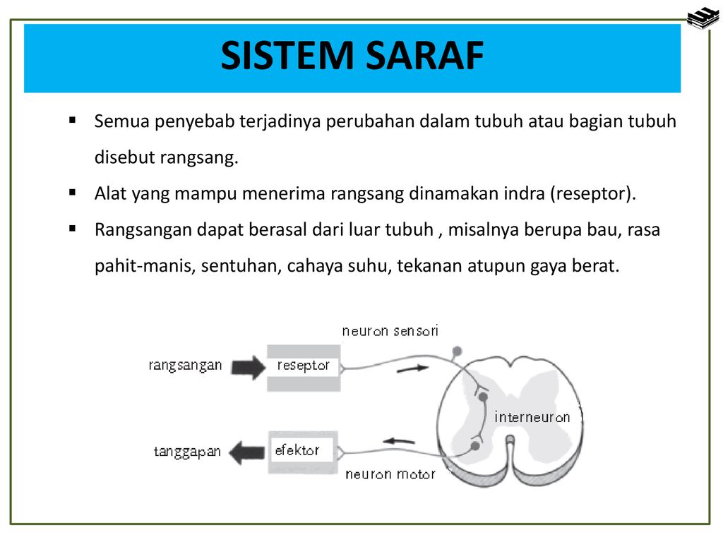 Detail Gambar Sistem Regulasi Nomer 16