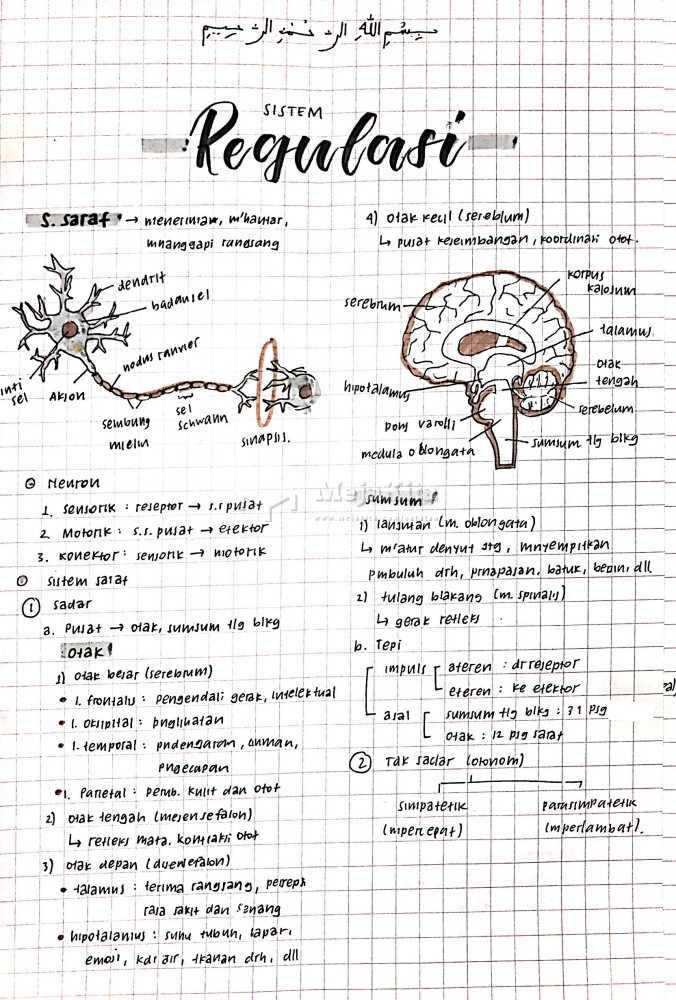 Detail Gambar Sistem Regulasi Nomer 3