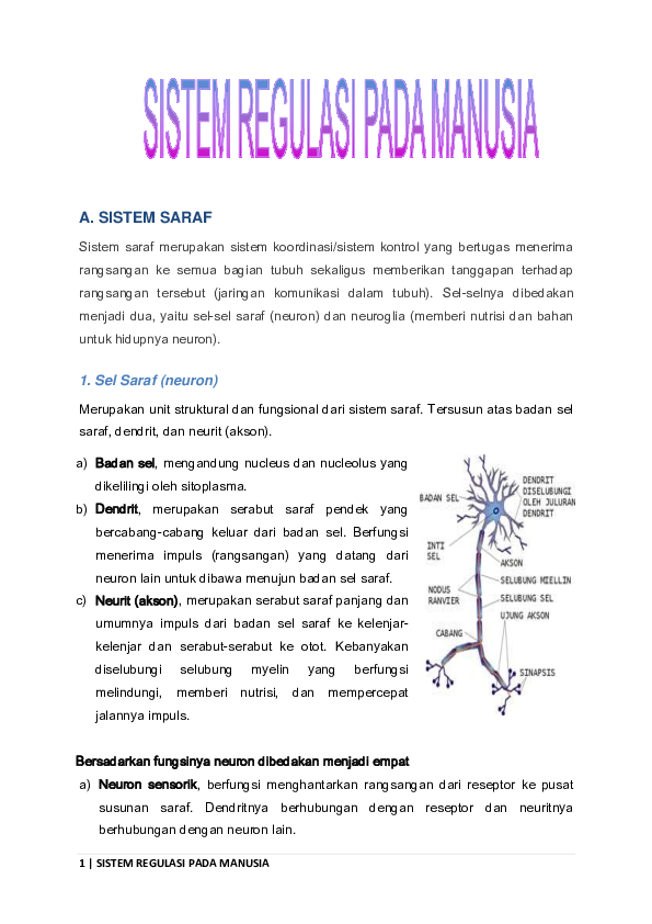 Detail Gambar Sistem Regulasi Nomer 22